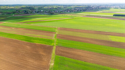 Obraz premium Aerial view of vibrant green and brown agricultural fields intersected by dirt roads, showcasing agricultural patterns and rural landscape in springtime.
