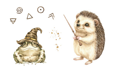 Cute hedgehog with magic wand and frog in witch's hat clipart. Watercolor funny forest animals. Hand drawn illustration isolated. Enchantment, toad, kids Halloween, wizard design, alchemical signs.