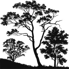 A collection of diverse trees with intricate branches and lush foliage are silhouetted against a clean white background showcasing natural beauty and organic forms