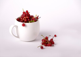 red currant in a white mug, copy space