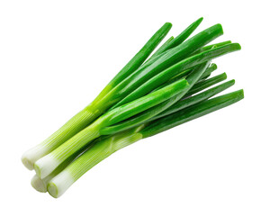 Fototapeta premium Fresh green onions for cooking and garnishing dishes