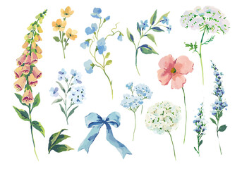 Watercolor wildflower vector collection with foxglove, poppy, hydrangea, lavender, gypsophila, sweet pea, forget-me-not, botanical clipart