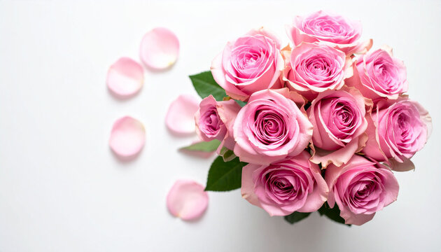 a bouquet of blush colored blooms rests on a plain surface, highlighted by natural light. the blooms are tightly clustered, their petals softly curled to create depth and texture