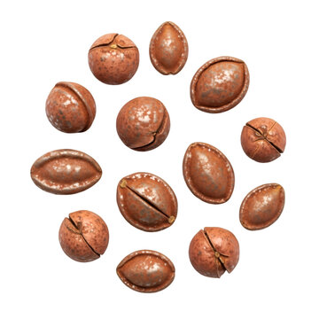 Buckshot Images – Browse 2,066 Stock Photos, Vectors, and Video | Adobe ...