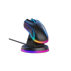 RGB Illuminated Ergonomic Gaming Mouse with Wrist Rest