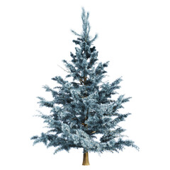 The Spruce Tree 3d Illustration