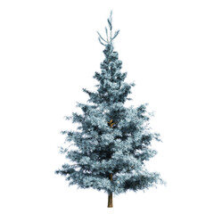 The Spruce Tree 3d Illustration