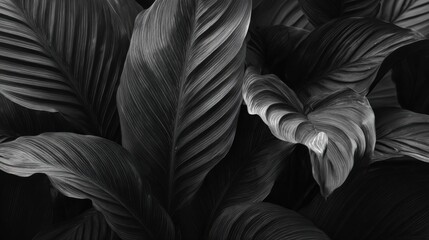 Close-up view of various tropical leaves showcasing intricate textures and rich shades of dark green. The leaves overlap, creating a lush and vibrant natural atmosphere.