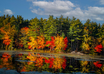 autumn colors in the park