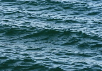 Fototapeta premium Gentle waves ripple across the surface of the deep blue sea, creating a mesmerizing pattern of light and shadow