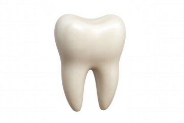 3d rendering of a perfect white tooth on a transparent background, ideal for dental and healthcare projects