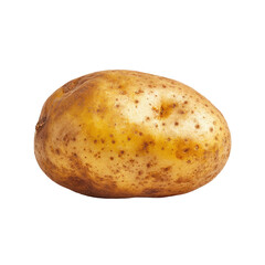 Single potato, light brown skin, slightly irregular shape,  showing natural blemishes