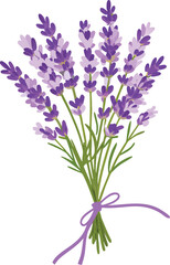 Naklejka premium Purple lavender bouquet tied with ribbon green stems