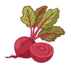 Crimson root vegetable with green leaves and cross section beet food