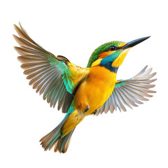 Fototapeta premium Vibrant kingfisher in flight with outstretched wings and vivid turquoise orange plumage, energetic motion and sharp beak