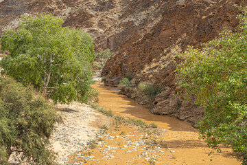 Oued river flowing through the rocky gorge near the abandoned Ahouli Mine in Morocco, with green trees contrasting the arid desert landscape
