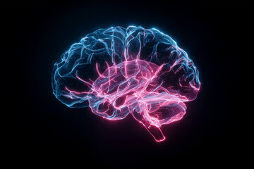 Neon pink and blue glowing outline of the human brain on a black background.