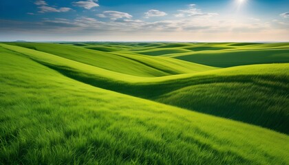 Fototapeta premium Rolling green hills under a bright blue sky, bathed in sunlight.