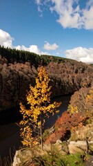 Autumnal vista overlooking a river valley