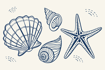 Hand drawn nautical shells and starfish illustration