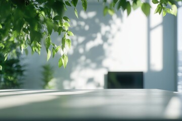 Sunlight through green leaves in a room