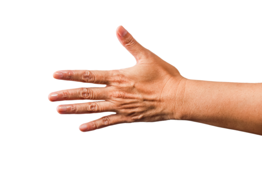 handshake, hand gesture or finger gesture, hand sign isolated on transparent background