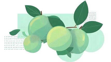 Illustration of green plums with leaves on a branch an white background.