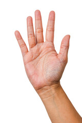 five finger gesture or finger gesture, hand sign isolated on transparent background, woman hand
