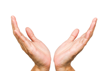 two hand open, charity, hand gesture or finger gesture, hand sign isolated on transparent background