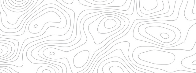 Topographic contours map background. geography map grid abstract backdrop. white wave paper curved reliefs design. seamless pattern with flowing wavy lines.