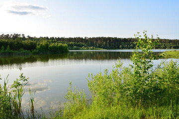 Calm Lake Scene with Lush Greenery and Forest Backdrop