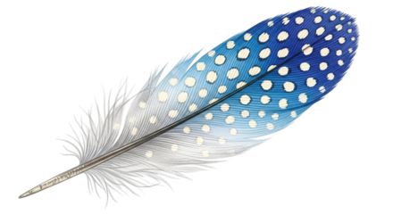 A delicately patterned feather speckled with memories of flight gracefully descending against on transparent background