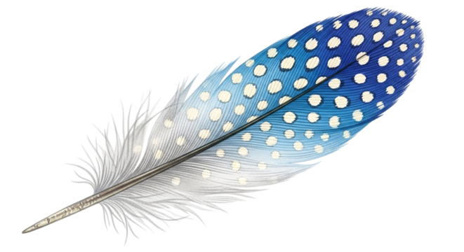 A delicately patterned feather speckled with memories of flight gracefully descending against on transparent background