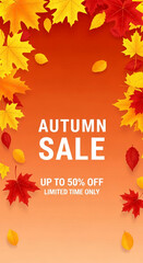 Autumn sale banner with red and yellow leaves frame, orange background Free space for text Up to 50% off