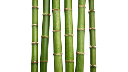 Fototapeta premium Set of Green Bamboo Sticks with Natural Texture – Eco-Friendly Material Isolated on Transparent Background