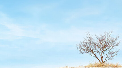 Solitary tree stands against clear blue sky, showcasing its intricate branches and sparse foliage. serene landscape evokes sense of tranquility