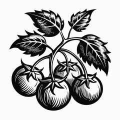 Black and White Tomatoes with Lush Green Leaves and Appetizing Still Life Vegetable Medley © Kanica