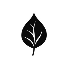Simple leaf black design on transparent background silhouette