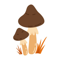 Mushrooms and Autumn grass