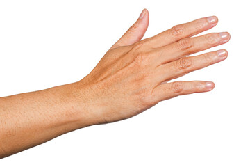 hand touch something, hand gesture or finger gesture, hand sign isolated on transparent background