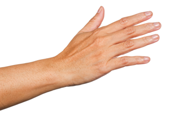 hand touch something, hand gesture or finger gesture, hand sign isolated on transparent background