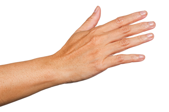 hand touch something, hand gesture or finger gesture, hand sign isolated on transparent background