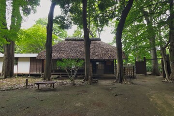 古民家のある風景