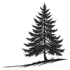 A detailed black silhouette of a tall evergreen pine tree with a long shadow cast on a white background with a grassy foreground