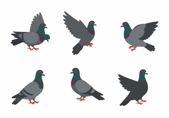 Collection of cartoon pigeons in various poses, including flying and standing, isolated on white background.