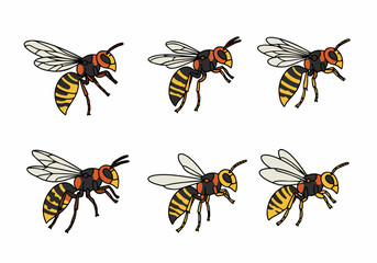Cartoon Hornet Illustrations Collection: A Set of Six Flying Wasps with Black and Yellow Stripes on a White Background.
