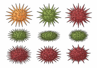 Vibrant cartoon collection of spiked microscopic particles, resembling viruses, bacteria, or pollen, in orange, green, and red.