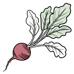Colorful Hand-Drawn Radish Illustration Depicting Freshness and Healthy Eating Choices for a Balanced Diet