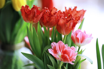 Tulip flowers close-up in a vase. Mothers Day.