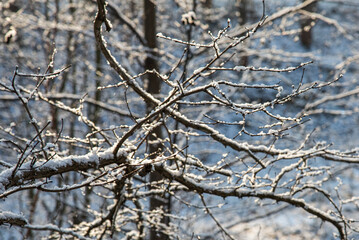neige à la Base de Loisirs de Verneuil-sur-Seine